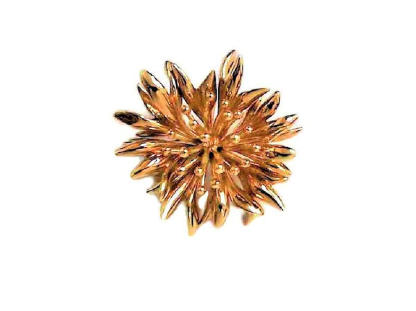 TIFFANY & CO NATURE BROOCH